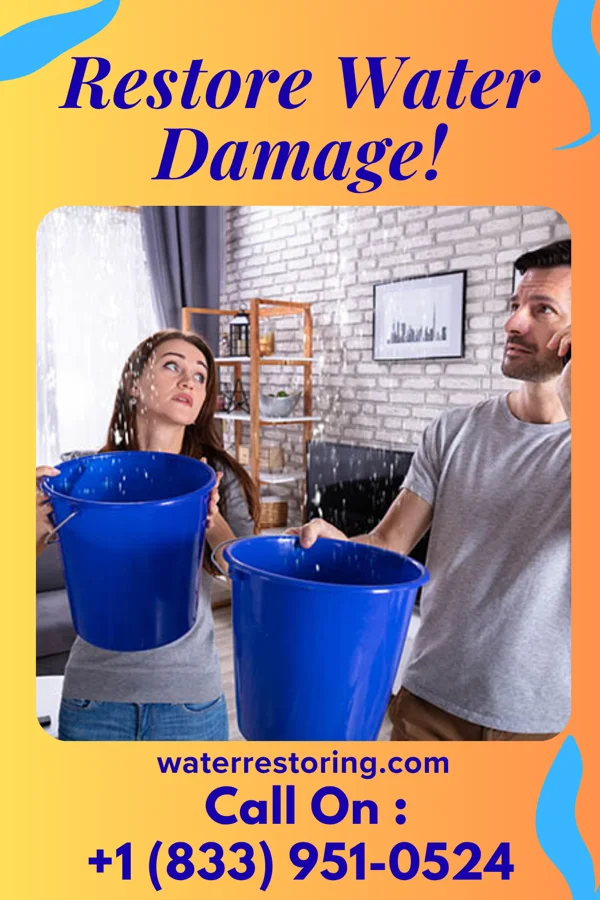 water restoration Allied Restoration Solutions Bland