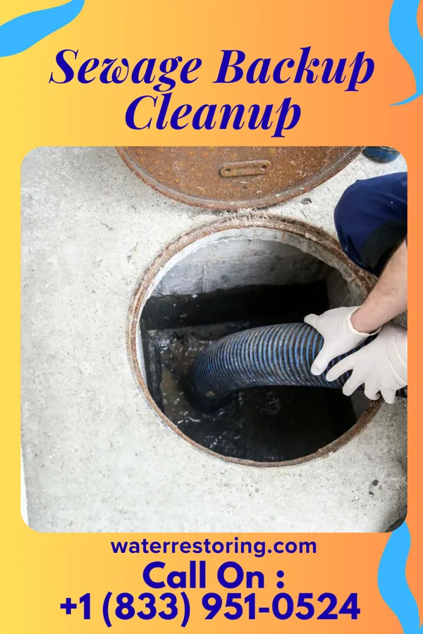 Sewage Backup Cleanup in Bland, MO