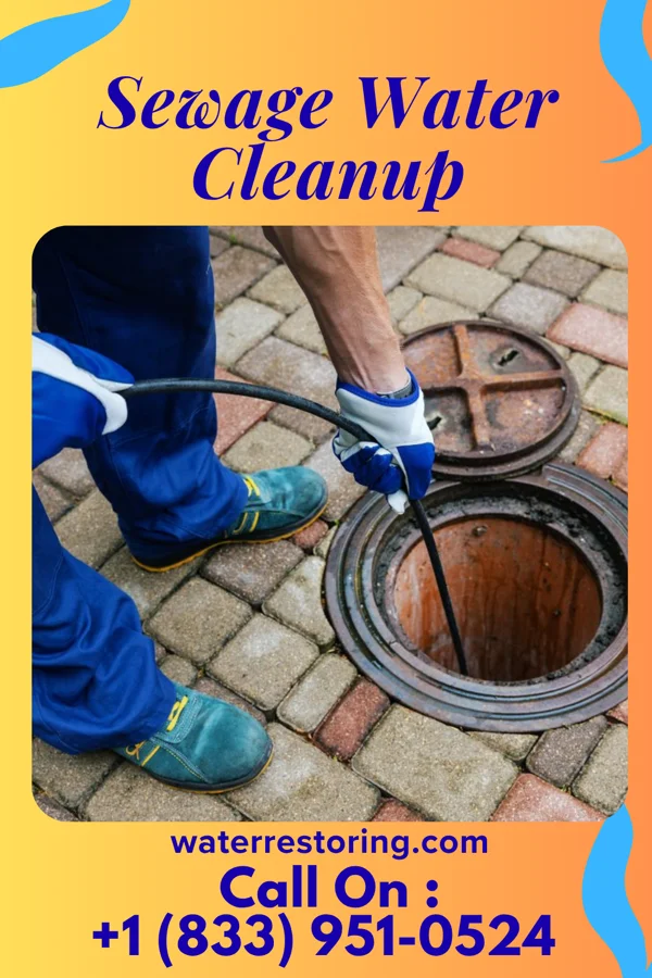 Sewage Water Cleanup in Bland, MO